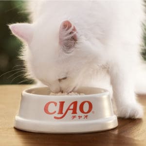 CIAO