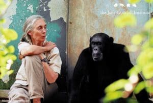 Jane Goodall Institute