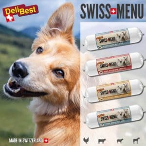 DeliBest Swiss Menu