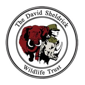 DSWT Logo