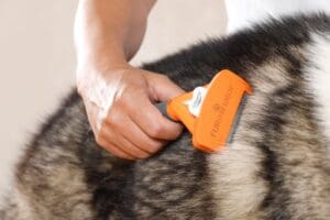 FURminator Deshedding Tool