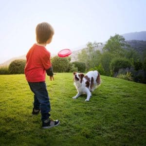 Hill’s Pet Nutrition