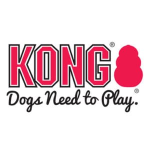 KONG Logo