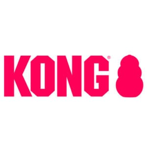 KONG Logo