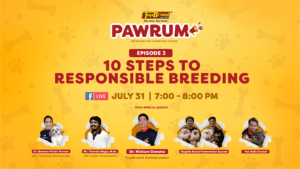 TopBreed PawRum Teaser