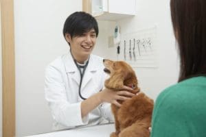 Aeon Pet - Hospital