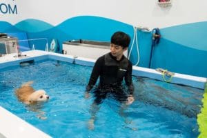 Aeon Pet - Rehab hydrotherapy