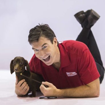 Royal Canin Jerry O'Connell AKC Championship
