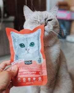 Kit Cat Pet Treats