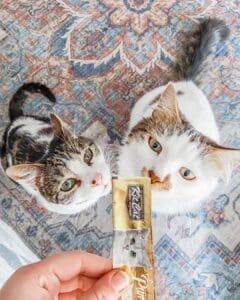 Kit Cat Pet Treats