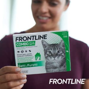 FRONTLINE