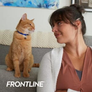 FRONTLINE