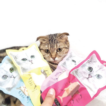 Kit Cat Featured Brand Page