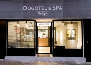 Dogotel & Spa