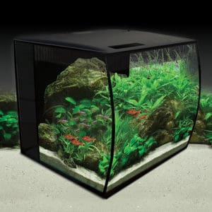 Fluval