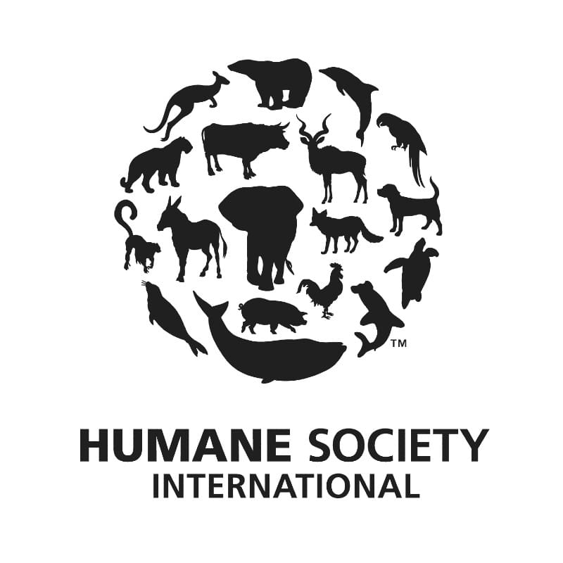 animal society