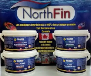 NorthFin