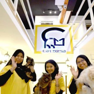 Catzonia_Brand_Image _1