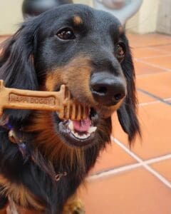 Happi Doggy Dental Chews