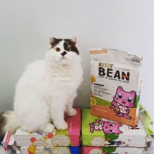 Snappy Cat Litter