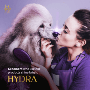 Hydra Professional